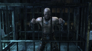 Скріншот 17 - огляд комп`ютерної гри Batman: Arkham City
