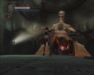 Скріншот 9 - огляд комп`ютерної гри BloodRayne 2