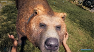 Скріншот 23 - огляд комп`ютерної гри Far Cry 5