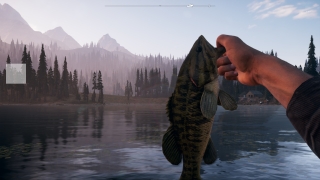 Скріншот 25 - огляд комп`ютерної гри Far Cry 5