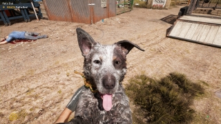 Скріншот 8 - огляд комп`ютерної гри Far Cry 5