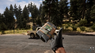 Скріншот 9 - огляд комп`ютерної гри Far Cry 5