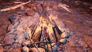 Скріншот 4 - огляд комп`ютерної гри Far Cry Primal