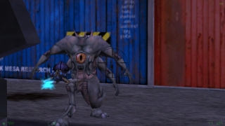 Скріншот 16 - огляд комп`ютерної гри Half-Life: Opposing Force