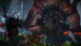 Скріншот 12 - огляд комп`ютерної гри The Witcher 2: Assassins of Kings